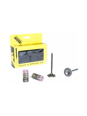 Комплект стоманени всмукателни клапани и пружини KTM EXC-F250 14-16; Husqvarna FE250 14-16